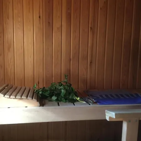 Lomamaja Lepola Studio Sirkkakoski
